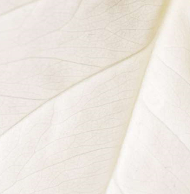 Explore natural patterns with a quick guide trough art